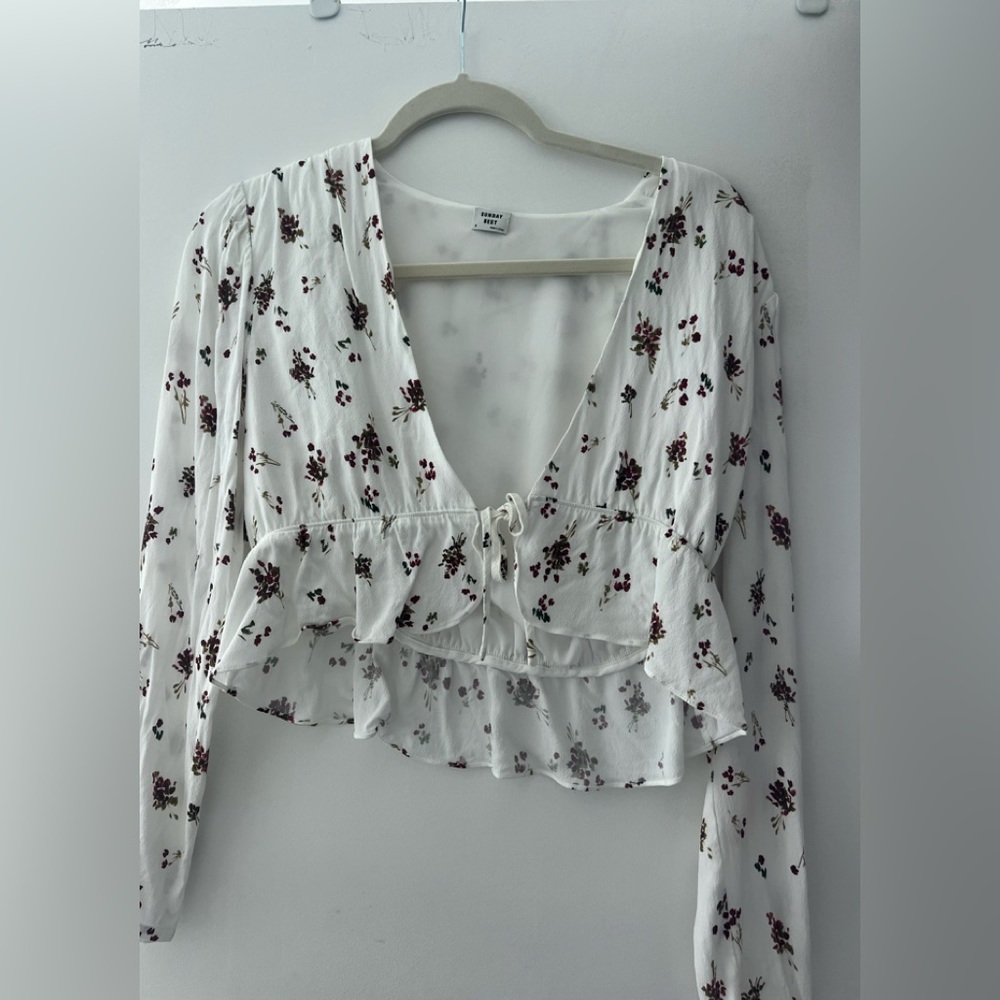 Longsleeve aritzia crop top